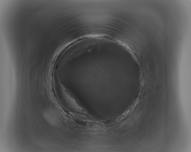 X0000111120337200907071002