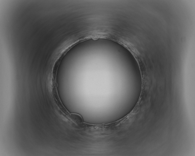 X0000111120338200907071002