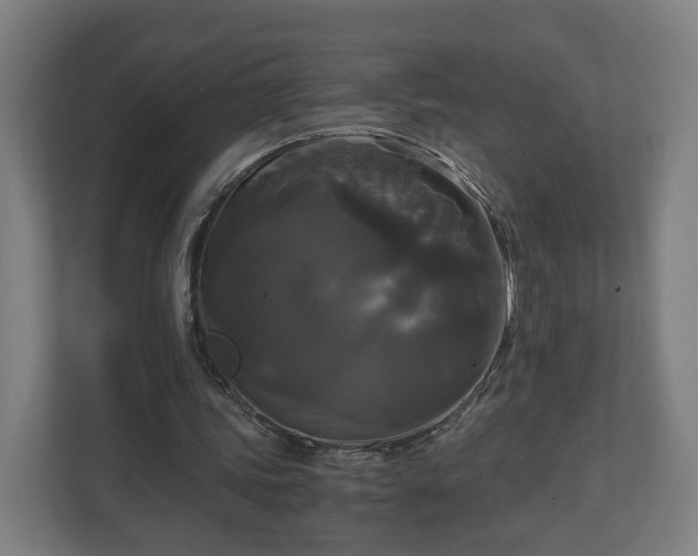 X0000111120339200907071002