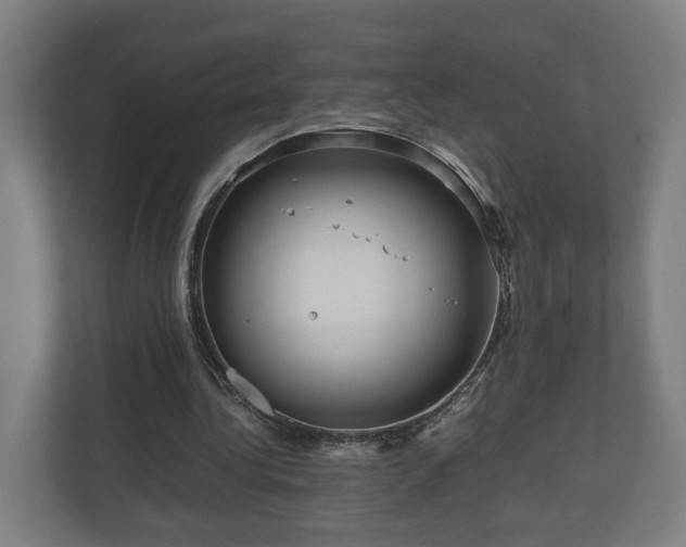 X0000111120340200907071002