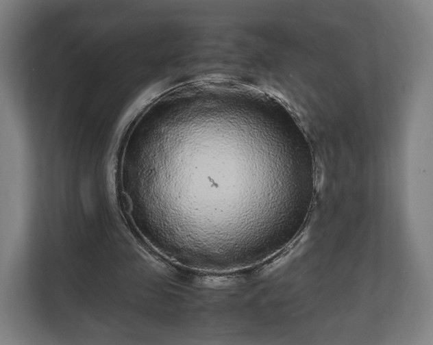 X0000111120341200907071002