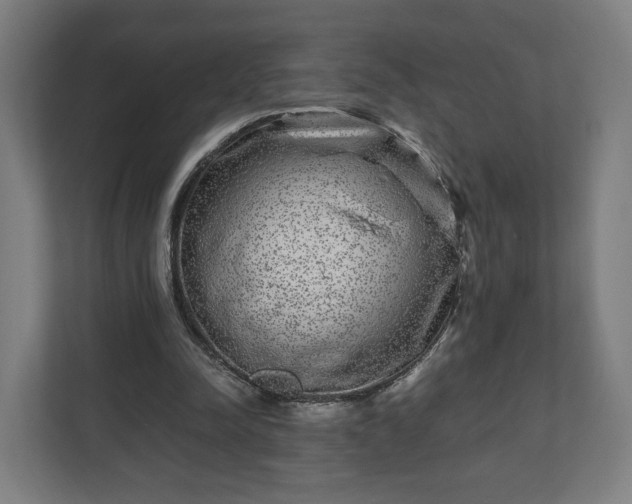 X0000111120342200907071002