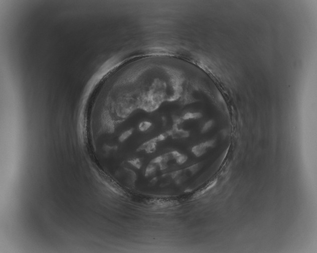 X0000111120343200907071002