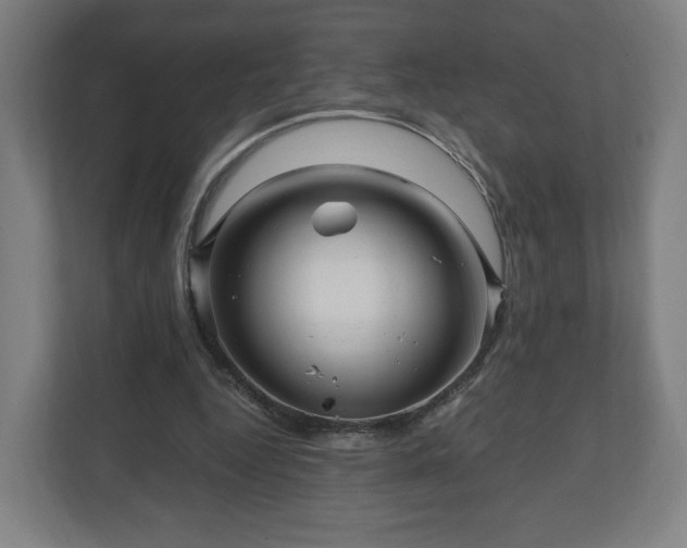 X0000111120344200907071002