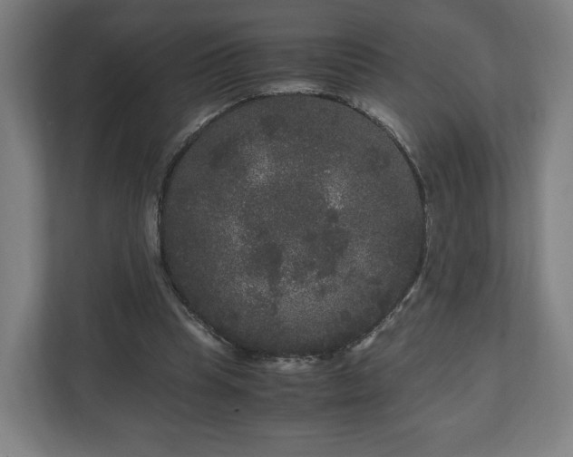 X0000111120345200907071002