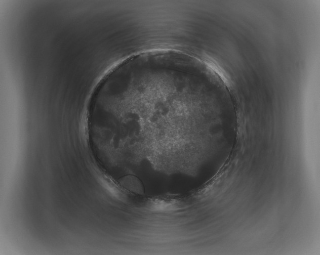 X0000111120346200907071002