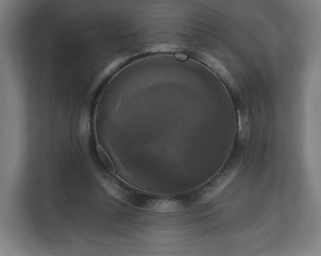 X0000111120348200907071002