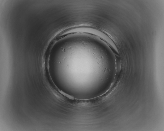 X0000111120350200907071002