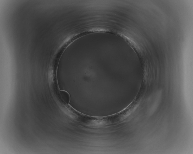 X0000111120351200907071002