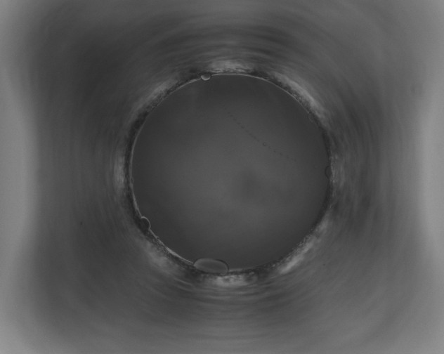 X0000111120353200907071002