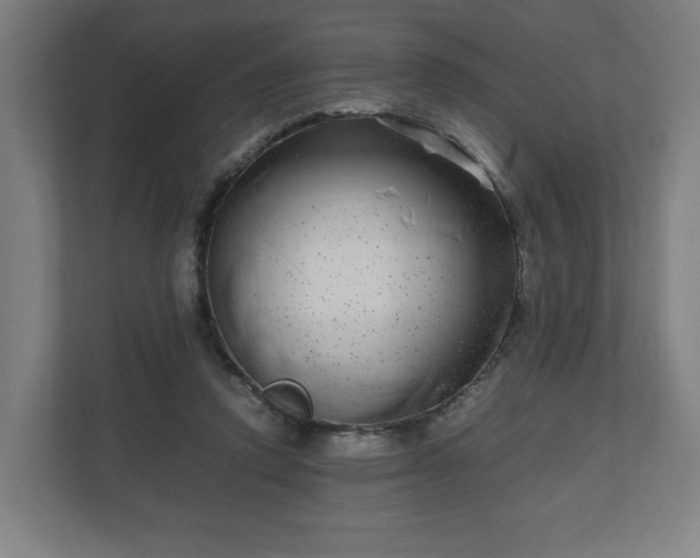 X0000111120354200907071002