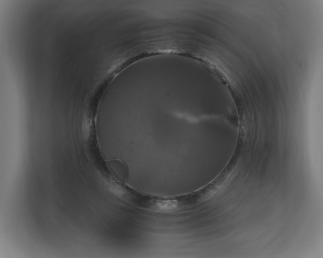 X0000111120355200907071002