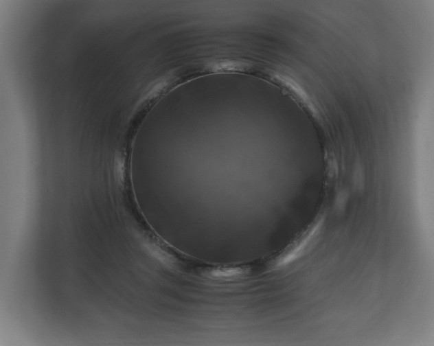 X0000111120357200907071002