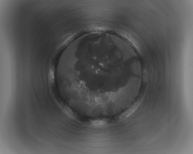 X0000111120358200907071002