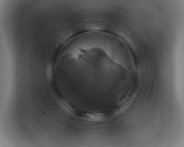 X0000111120359200907071002