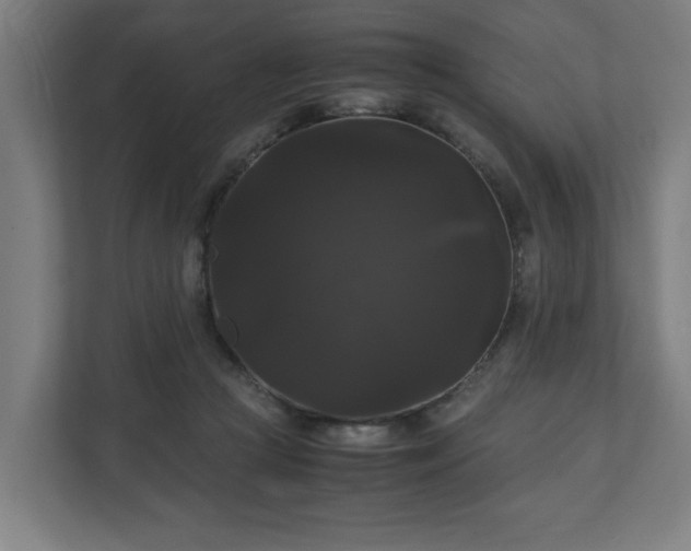 X0000111120361200907071002