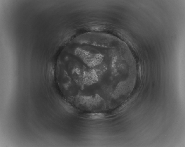 X0000111120363200907071002