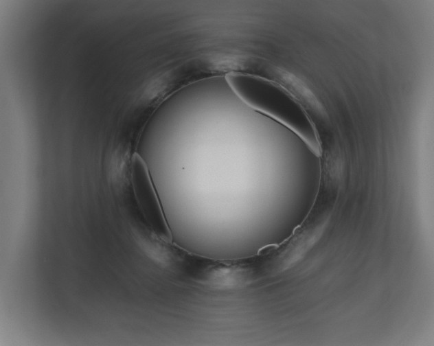 X0000111120364200907071002