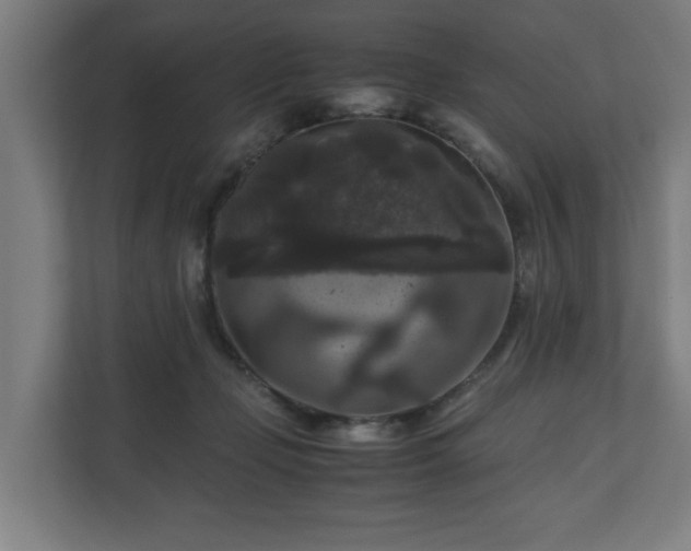 X0000111120365200907071002