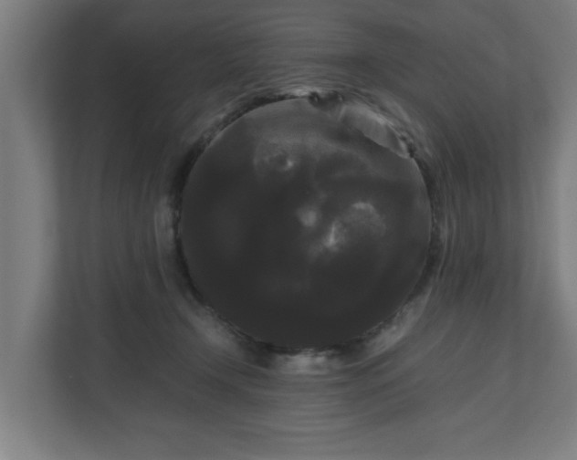 X0000111120366200907071002