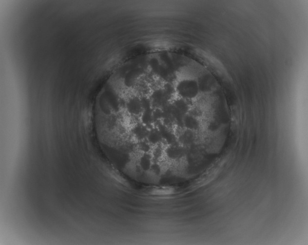 X0000111120369200907071002