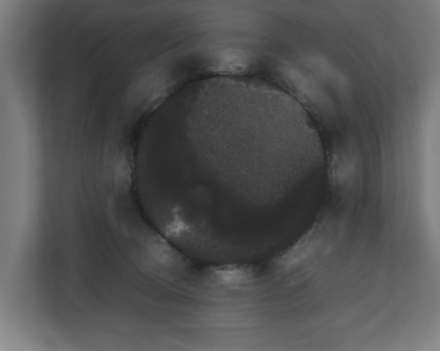 X0000111120370200907071002