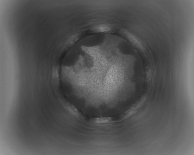 X0000111120373200907071002