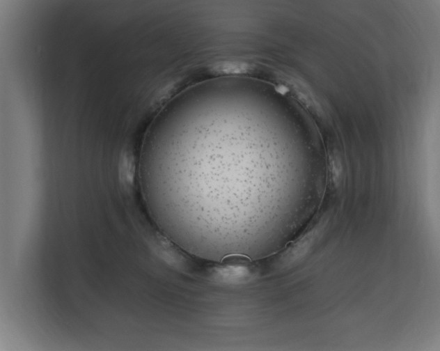 X0000111120374200907071002