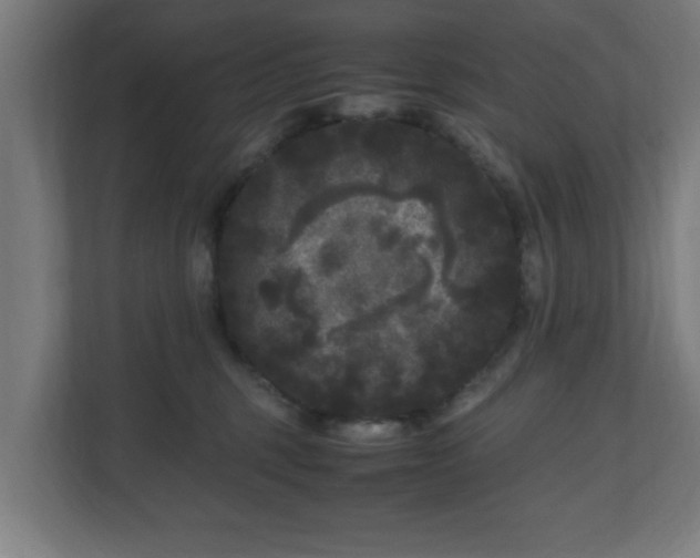 X0000111120375200907071002