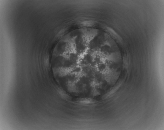 X0000111120377200907071002