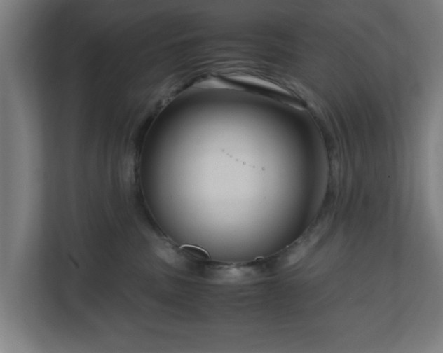 X0000111120379200907071002