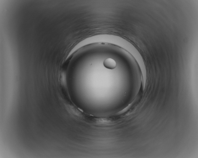 X0000111120380200907071002