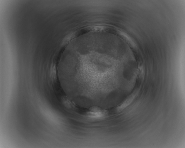 X0000111120381200907071002