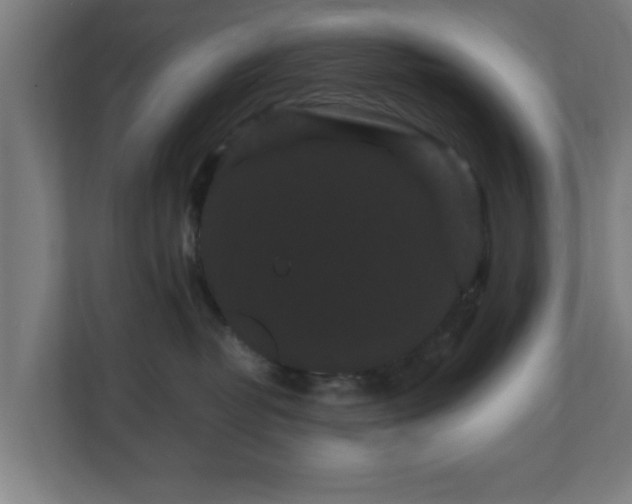 X0000111120382200907071002