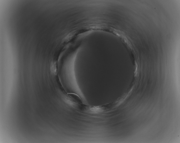 X0000111120383200907071002