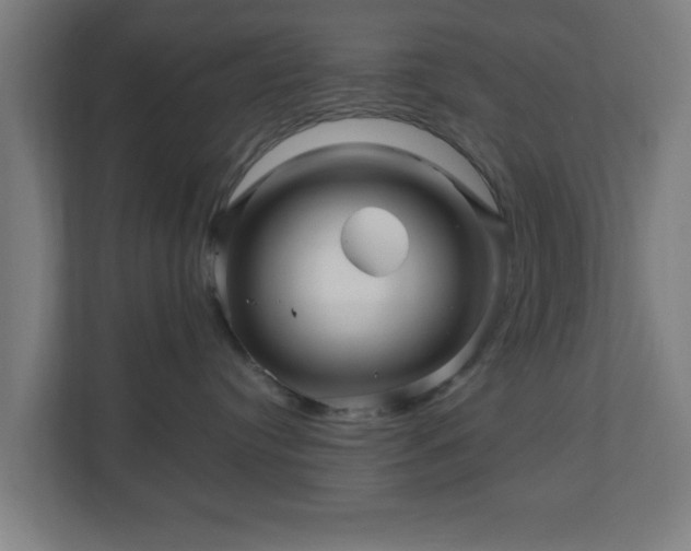 X0000111120384200907071002