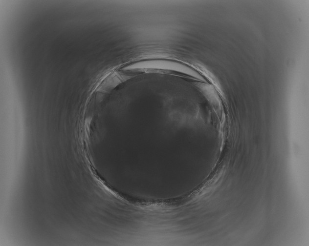 X0000111120385200907071002