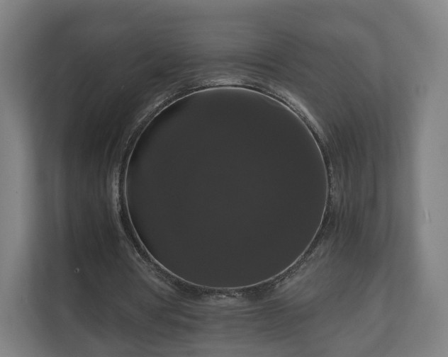 X0000111120386200907071002