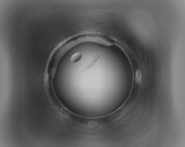 X0000111120388200907071002