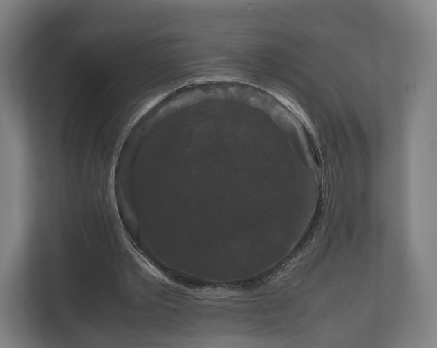 X0000111120389200907071002