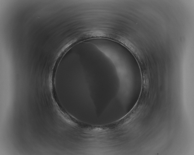 X0000111120390200907071002