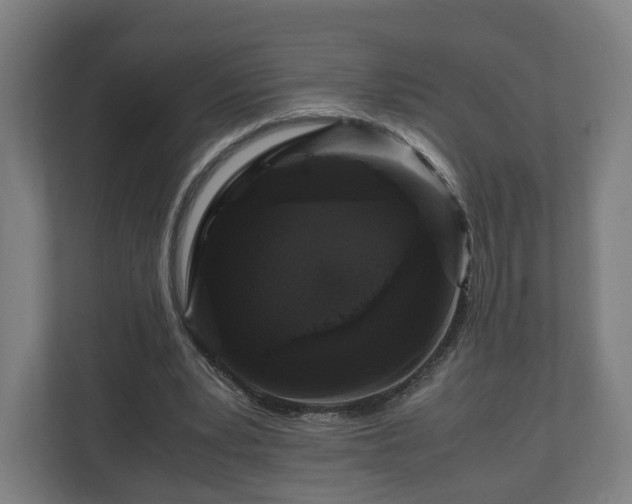 X0000111120391200907071002