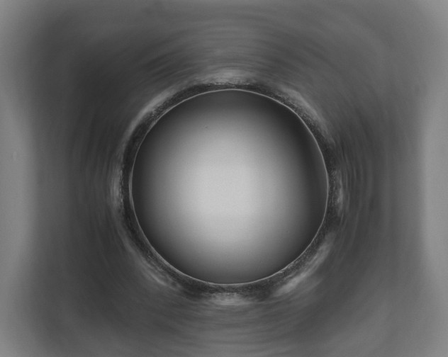 X0000111120392200907071002