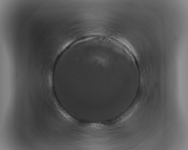 X0000111120393200907071002