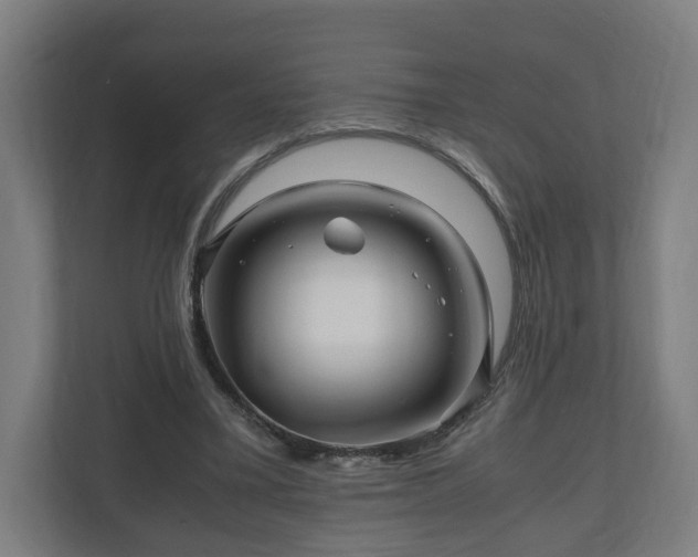 X0000111120395200907071002