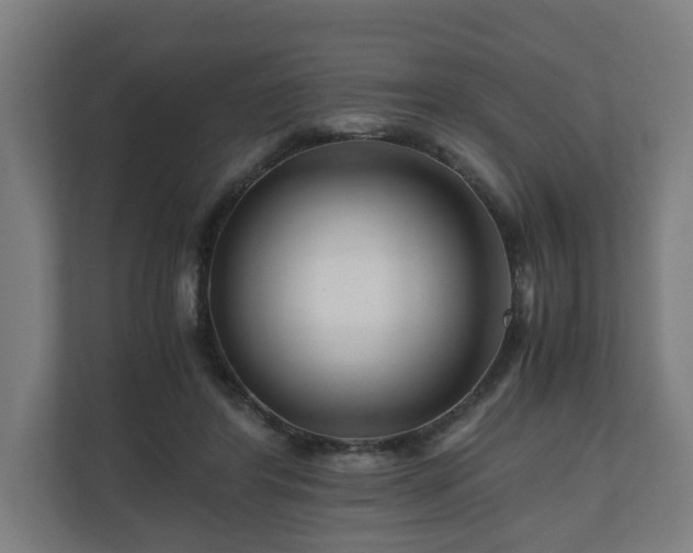 X0000111120404200907071002