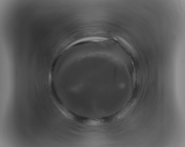 X0000111120405200907071002