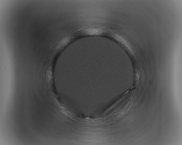 X0000111120407200907071002