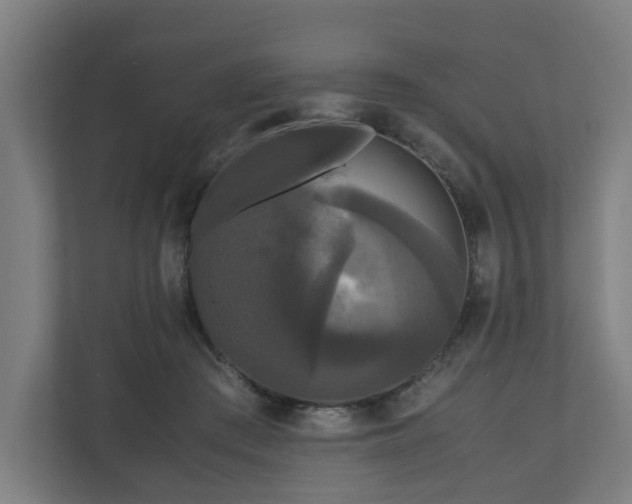 X0000111120409200907071001