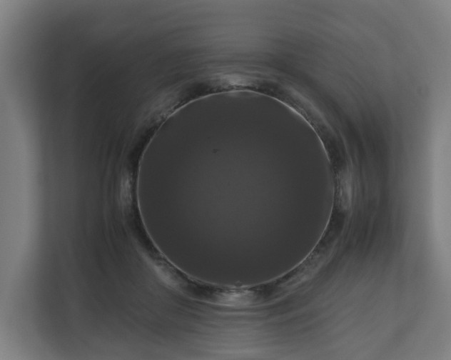 X0000111120410200907071001